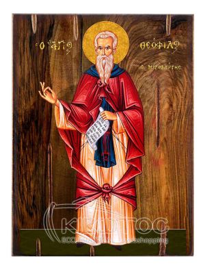 Εικόνα Άγιος Θεόφιλος Ξύλινη 22x16cm