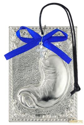 Τάμα Στομάχι από Ασήμι