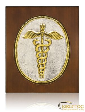 Κάδρο Όρκος του Ιπποκράτους 19x16cm